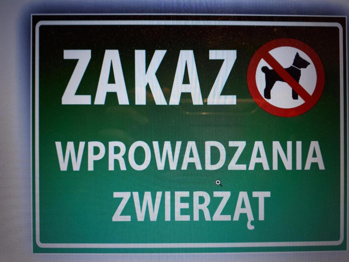 Glogow Przy Chopina Apartman Kültér fotó